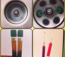 10292138_564220417037144_7201855485896973600_n